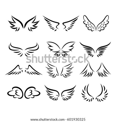Wing vector, logo, illustration and icon