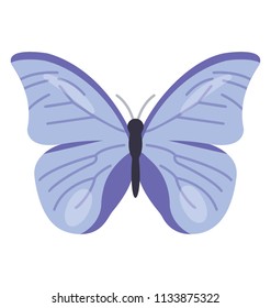 A winged animal in pretty blue color with antennas on top, butterfly 