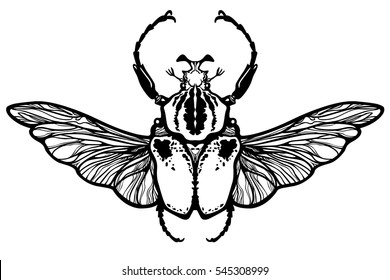 Winged bug.  The black linear drawing isolated on a white background. Vector illustration.