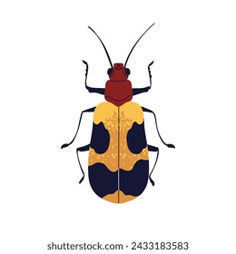 Winged bug. Spotted insect species with antenna, above top view. Red speckled jewel beetle icon. Flat graphic vector illustration isolated on white background