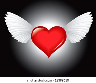 Winged heart at night