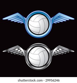 winged icon featuring volleyball