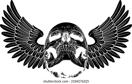 A winged skull graphic. Original illustration in a vintage engraving woodcut etching style.
