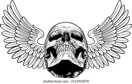 A winged skull graphic. Original illustration in a vintage engraving woodcut etching style.
