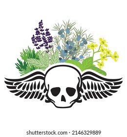 winged skull and herbs, vector