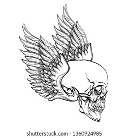 Winged skull in linear style on a white background.