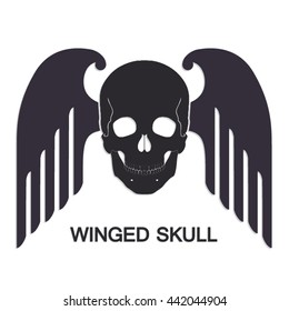 winged skull / vector illustration