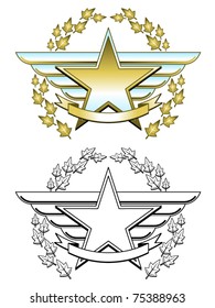 Winged star medallion in two different styles