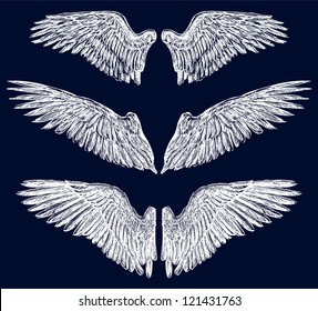 wings