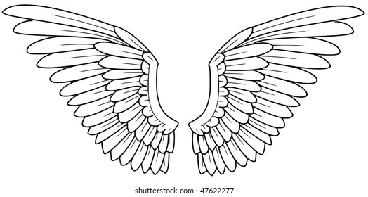 wings