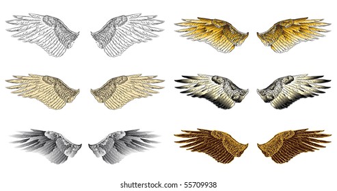 wings