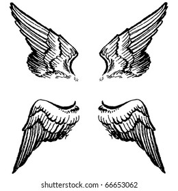 wings