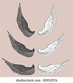 wings