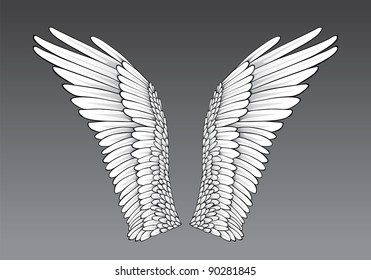 Wings