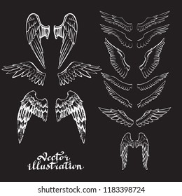 wings of an angel bird icon vector