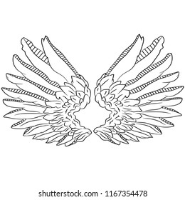 Wings art design vector art illustrated line art.