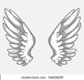 Wings. Art for print, posters, t-shirts and textiles. Vector illustration.