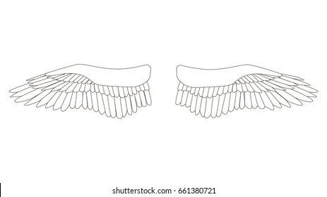 Wings of a bird or an angel
