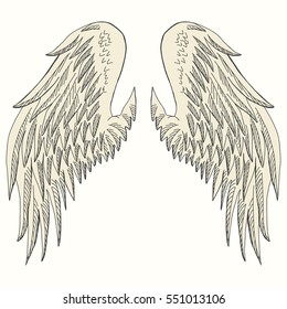 Wings of bird, angel. Hand drawn angel wing. vector