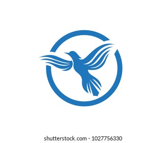 Wings bird sign abstract template icons app