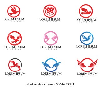 Wings  bird sign abstract template icons app
