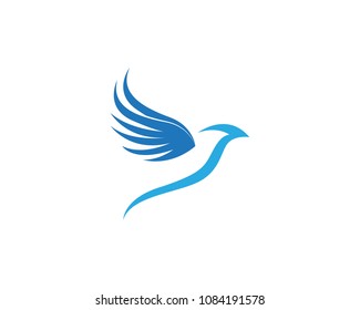Wings bird sign abstract template icons 
