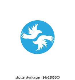 Wings bird sign abstract template icons app
