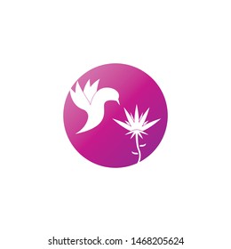Wings bird sign abstract template icons app
