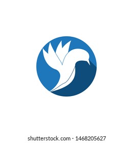 Wings bird sign abstract template icons app
