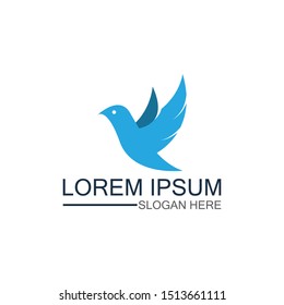 Wings bird sign abstract template icon creative design