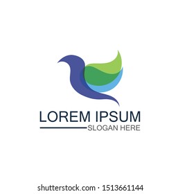 Wings bird sign abstract template icon creative design