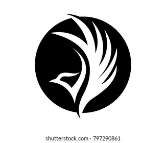 Wings bird sign abstract template icons app