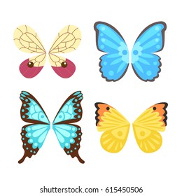 Wings butterfly isolated animal feather pinion freedom flight and natural hawk life peace design flying element eagle winged side shapevector illustration.