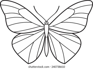 Wings butterfly isolated vector icon logo 