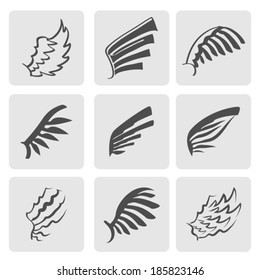Wings collection