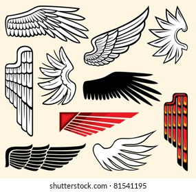 wings collection