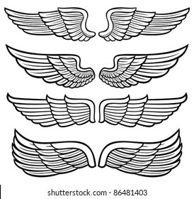 wings collection 