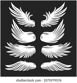 Wings Collection isolated on black background.Vector illustration.
