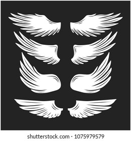 Wings Collection isolated on black background.Vector illustration.