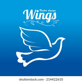 Wings design over blue background, vector illustration