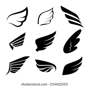 Wings design over white background, vector illustration