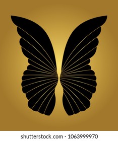 Wings Design, Vector Illustration