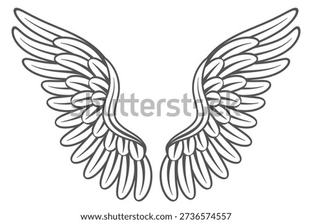 Wings drawing. Holy symbol insignia. Angel feathers