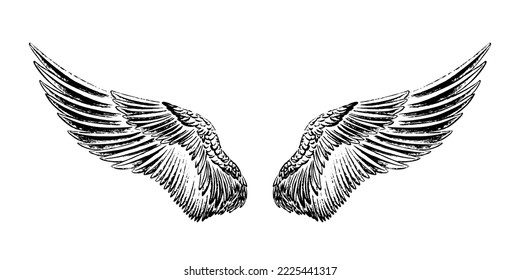 Wings drawn in black ink. The texture of the brush and paint. Engraving style