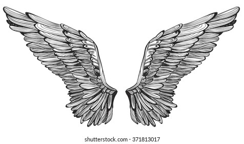 Wings feather. Vintage hand drawn vector illustration.