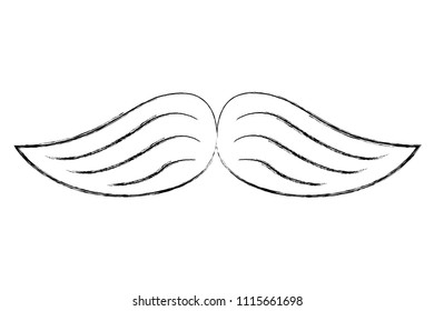 wings feathers nature decoration image