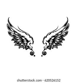 Wings, Hand drawn detailed wings vector illustration hand drawn, on the white background
