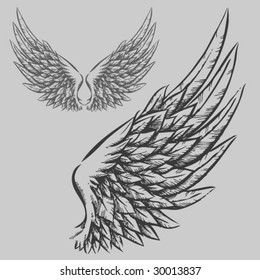 Wings (Hand Drawn Vector Illustration)