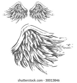 Wings (Hand Drawn Vector Illustration)