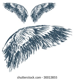 Wings (Hand Drawn Vector Illustration)
